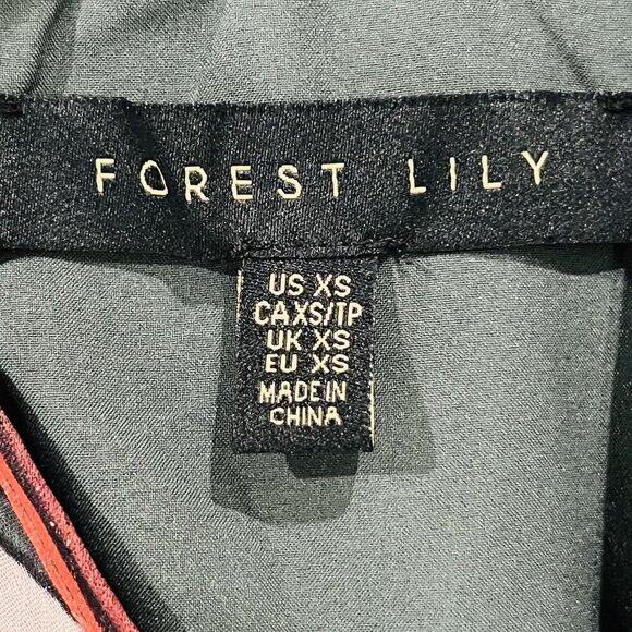 Forest Lily Mini Dress Size XS High Neck, Elastic Waist Fall Print Metallic - Picture 14 of 16